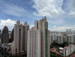 Irwell Hill Residences (D9), Apartment #449078431